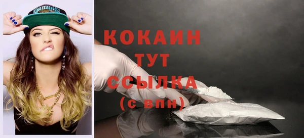 хмурый Белокуриха
