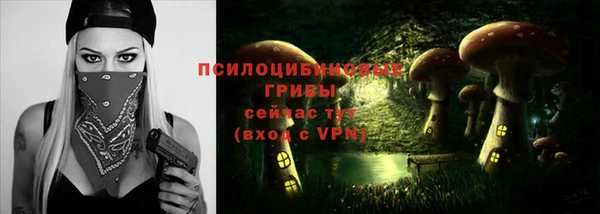 PSILOCYBIN Балахна