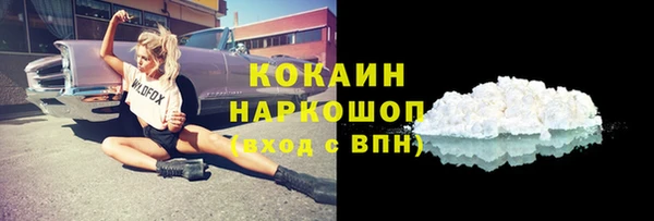 хмурый Белокуриха