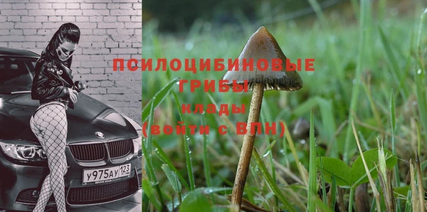 2c-b Балабаново